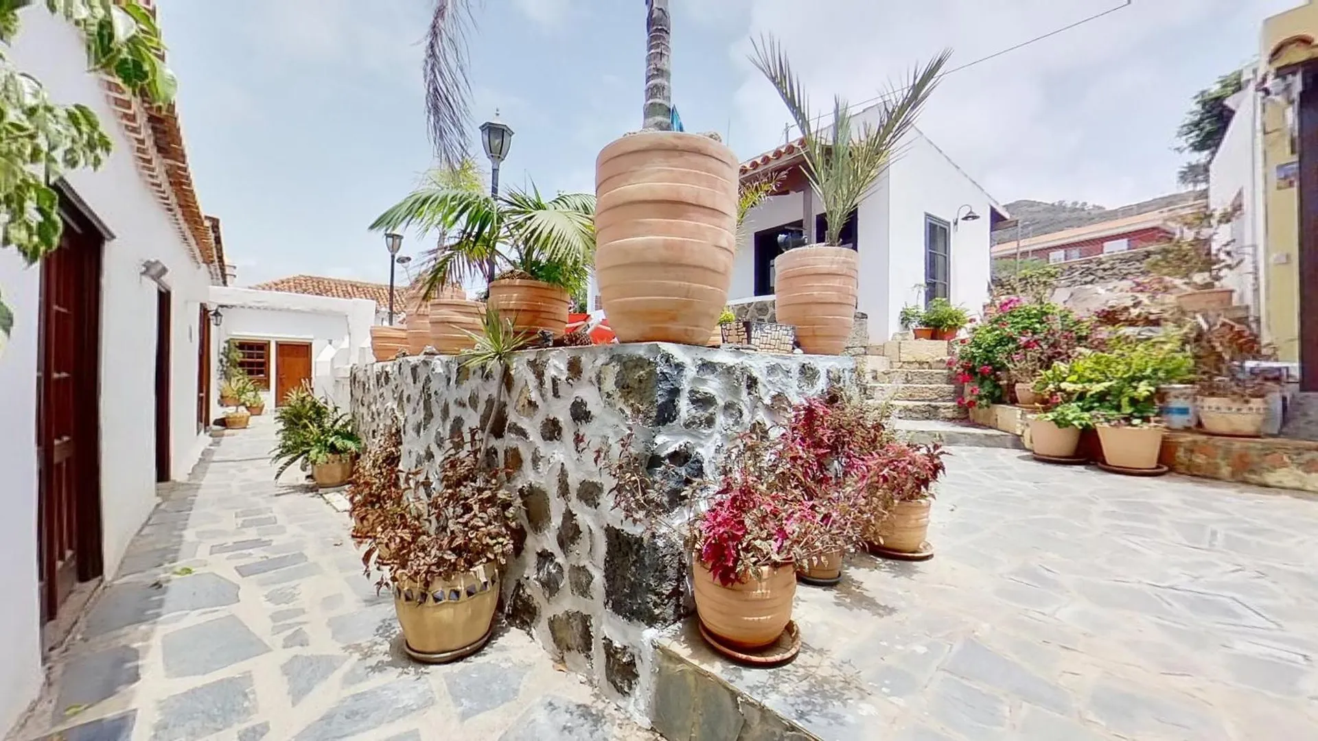 Finca Paraiso Casa Rural Tenerife La Laguna  Apartment